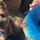 Tyrone promptly destroyed this donut when he got home. He and his mother share a love of donuts.